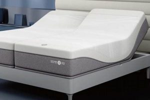 Best King Sleep Number Mattress: Ultimate Guide & Reviews Organic & Natural Mattress Buyer’s Guide: Non-Toxic Sleep Solutions Best King Sleep Number Mattress: Ultimate Guide & Reviews | Organic & Natural Mattress Buyer’s Guide: Non-Toxic Sleep Solutions