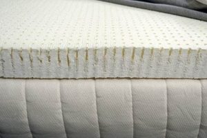 Enhance Sleep with Natural Latex Mattress Topper - Comfort Boost! Organic & Natural Mattress Buyer’s Guide: Non-Toxic Sleep Solutions Enhance Sleep with Natural Latex Mattress Topper - Comfort Boost! | Organic & Natural Mattress Buyer’s Guide: Non-Toxic Sleep Solutions