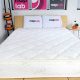 The Sleep EZ Organic Latex Mattress: Your Natural Sleep Solution | Organic & Natural Mattress Buyer’s Guide: Non-Toxic Sleep Solutions
