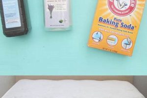 Easy How to Clean My Mattress: Tips & Tricks Safem Fabrication - Precision Engineering & Custom Manufacturing Solutions Easy How to Clean My Mattress: Tips & Tricks | Safem Fabrication - Precision Engineering & Custom Manufacturing Solutions