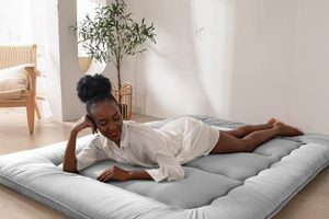 Best Sleep with a Floor Mattress: Guide & Tips Organic & Natural Mattress Buyer’s Guide: Non-Toxic Sleep Solutions Best Sleep with a Floor Mattress: Guide & Tips | Organic & Natural Mattress Buyer’s Guide: Non-Toxic Sleep Solutions