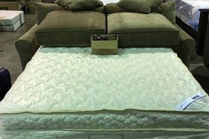 Best Air Mattress Couch Sleeper [Sleep Easy!] | Organic & Natural Mattress Buyer’s Guide: Non-Toxic Sleep Solutions