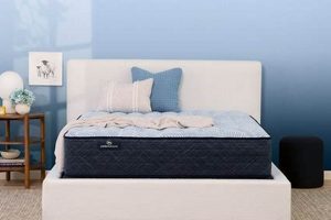 Serta Perfect Sleeper Twin Mattress: Your Dream Sleep Organic & Natural Mattress Buyer’s Guide: Non-Toxic Sleep Solutions Serta Perfect Sleeper Twin Mattress: Your Dream Sleep | Organic & Natural Mattress Buyer’s Guide: Non-Toxic Sleep Solutions