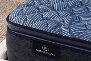 Review: Serta Perfect Sleeper Oasis Sleep - Is It Firm Enough? Organic & Natural Mattress Buyer’s Guide: Non-Toxic Sleep Solutions Review: Serta Perfect Sleeper Oasis Sleep - Is It Firm Enough? | Organic & Natural Mattress Buyer’s Guide: Non-Toxic Sleep Solutions