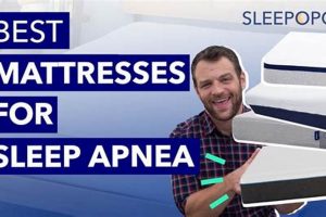 Find The Best Mattress for Sleep Apnea: Sleep Better! Organic & Natural Mattress Buyer’s Guide: Non-Toxic Sleep Solutions Find The Best Mattress for Sleep Apnea: Sleep Better! | Organic & Natural Mattress Buyer’s Guide: Non-Toxic Sleep Solutions