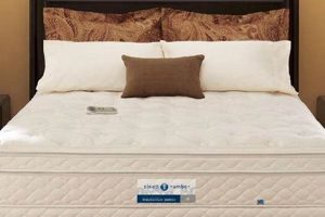 Find *Your* Sleep Number: Select Comfort Mattress Guide | Organic & Natural Mattress Buyer’s Guide: Non-Toxic Sleep Solutions