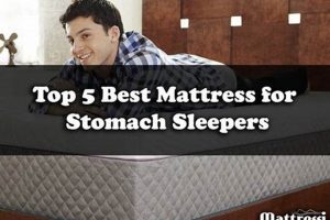 Top-Rated Best Mattress for Stomach Sleepers: Sleep Soundly Organic & Natural Mattress Buyer’s Guide: Non-Toxic Sleep Solutions Top-Rated Best Mattress for Stomach Sleepers: Sleep Soundly | Organic & Natural Mattress Buyer’s Guide: Non-Toxic Sleep Solutions