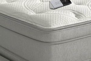 Sleep Number Alternative: Best Adjustable Air Mattress | Organic & Natural Mattress Buyer’s Guide: Non-Toxic Sleep Solutions