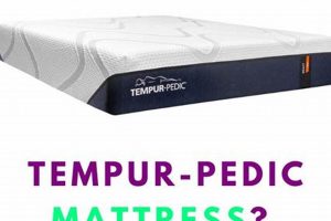 Easy Clean: How to Clean a Tempur-Pedic Mattress + Tips Safem Fabrication - Precision Engineering & Custom Manufacturing Solutions Easy Clean: How to Clean a Tempur-Pedic Mattress + Tips | Safem Fabrication - Precision Engineering & Custom Manufacturing Solutions