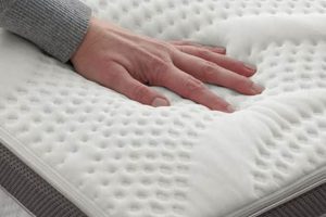 Enhance Sleep: Best Mattress Pad for Sleep Number Bed (Guide) Organic & Natural Mattress Buyer’s Guide: Non-Toxic Sleep Solutions Enhance Sleep: Best Mattress Pad for Sleep Number Bed (Guide) | Organic & Natural Mattress Buyer’s Guide: Non-Toxic Sleep Solutions