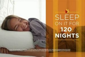 Mattress Firm Sleep Trial: Is It Right For *Your* Sleep? Organic & Natural Mattress Buyer’s Guide: Non-Toxic Sleep Solutions Mattress Firm Sleep Trial: Is It Right For *Your* Sleep? | Organic & Natural Mattress Buyer’s Guide: Non-Toxic Sleep Solutions