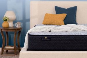 Rest Easy: Serta Perfect Sleeper Firm Mattress Review & Guide | Organic & Natural Mattress Buyer’s Guide: Non-Toxic Sleep Solutions