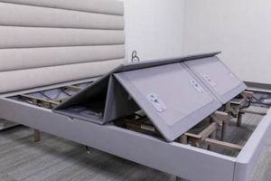 Best Sleep Number Mattress Base: Reviews & Benefits Organic & Natural Mattress Buyer’s Guide: Non-Toxic Sleep Solutions Best Sleep Number Mattress Base: Reviews & Benefits | Organic & Natural Mattress Buyer’s Guide: Non-Toxic Sleep Solutions