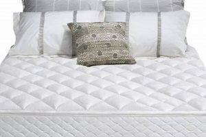 Best Sleep Number Camper Mattress [Guide] For RV | Organic & Natural Mattress Buyer’s Guide: Non-Toxic Sleep Solutions