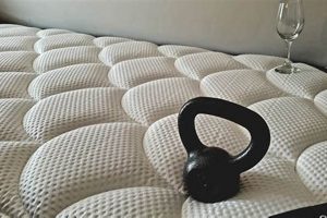 Top-Rated Best Mattress for Stomach Sleeping: Sleep Well! Organic & Natural Mattress Buyer’s Guide: Non-Toxic Sleep Solutions Top-Rated Best Mattress for Stomach Sleeping: Sleep Well! | Organic & Natural Mattress Buyer’s Guide: Non-Toxic Sleep Solutions