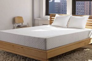 Best Sleep: Sleep Innovations Mattress Reviews & Guide Organic & Natural Mattress Buyer’s Guide: Non-Toxic Sleep Solutions Best Sleep: Sleep Innovations Mattress Reviews & Guide | Organic & Natural Mattress Buyer’s Guide: Non-Toxic Sleep Solutions