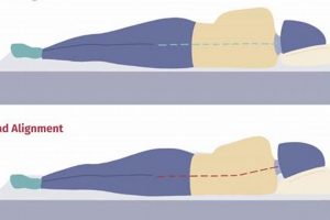 Best Side Sleeper Mattress Recommendations for Pain Relief Organic & Natural Mattress Buyer’s Guide: Non-Toxic Sleep Solutions Best Side Sleeper Mattress Recommendations for Pain Relief | Organic & Natural Mattress Buyer’s Guide: Non-Toxic Sleep Solutions