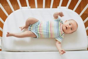 Best Co Sleeper Mattress: Safe Sleep Solution Organic & Natural Mattress Buyer’s Guide: Non-Toxic Sleep Solutions Best Co Sleeper Mattress: Safe Sleep Solution | Organic & Natural Mattress Buyer’s Guide: Non-Toxic Sleep Solutions