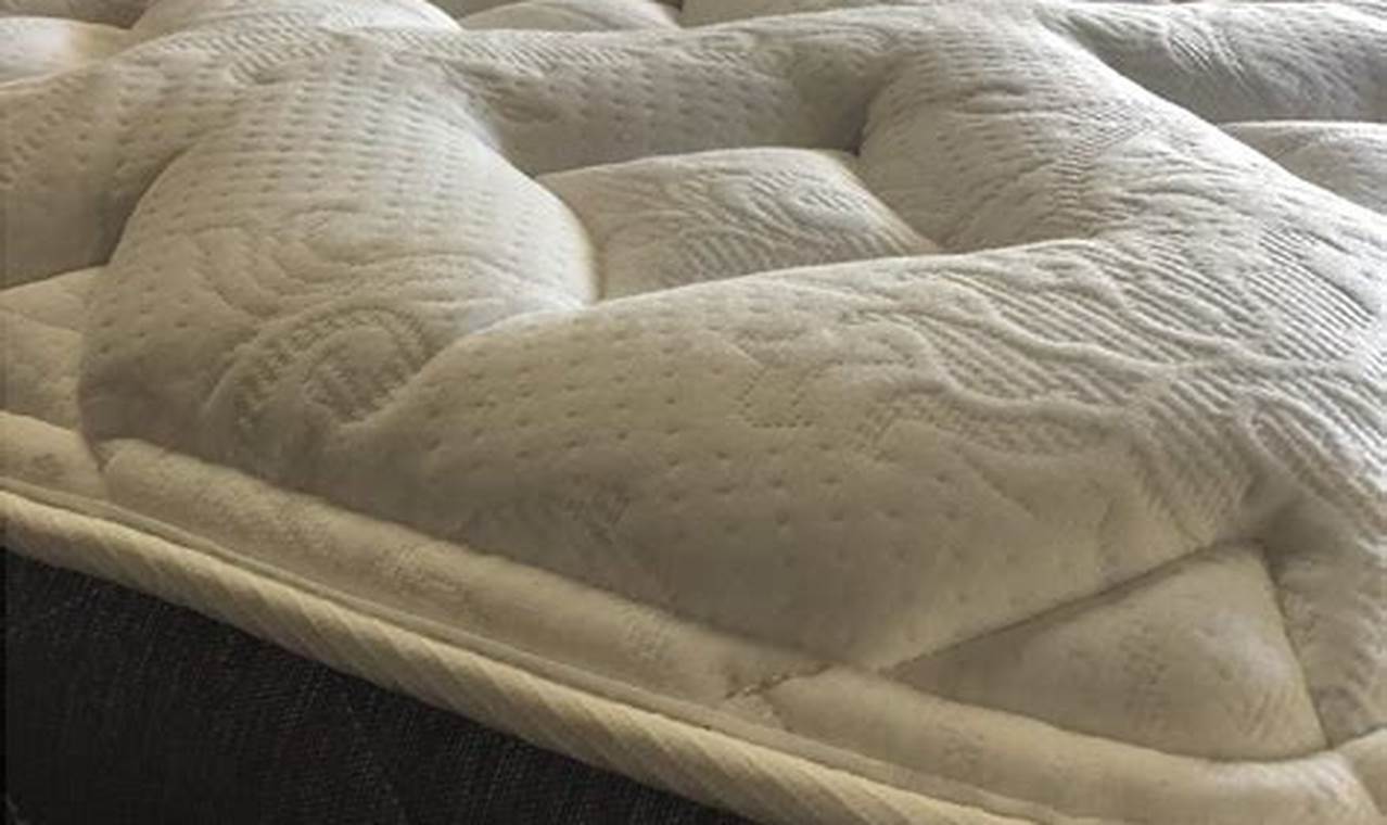 Upgrade Your Sleep: Sleep Number Replacement Mattress Options | Organic & Natural Mattress Buyer’s Guide: Non-Toxic Sleep Solutions