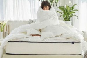 Top-Rated Best Mattress for Side Sleeper with Hip Pain Relief | Organic & Natural Mattress Buyer’s Guide: Non-Toxic Sleep Solutions