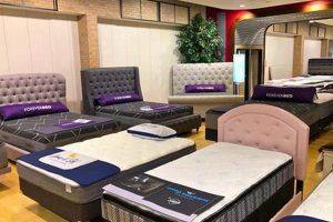 Dream Better: Sleep Solutions Mattress Gallery Near You Organic & Natural Mattress Buyer’s Guide: Non-Toxic Sleep Solutions Dream Better: Sleep Solutions Mattress Gallery Near You | Organic & Natural Mattress Buyer’s Guide: Non-Toxic Sleep Solutions
