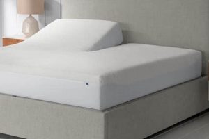 Best Sleep Number Mattress Pad: Comfort & Protect Organic & Natural Mattress Buyer’s Guide: Non-Toxic Sleep Solutions Best Sleep Number Mattress Pad: Comfort & Protect | Organic & Natural Mattress Buyer’s Guide: Non-Toxic Sleep Solutions