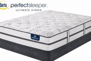 Buy Serta Queen Mattress Perfect Sleeper | Sleep Soundly Organic & Natural Mattress Buyer’s Guide: Non-Toxic Sleep Solutions Buy Serta Queen Mattress Perfect Sleeper | Sleep Soundly | Organic & Natural Mattress Buyer’s Guide: Non-Toxic Sleep Solutions