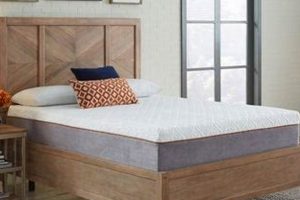 Best Sleep: Copper Infused Firm Memory Foam Mattress - Sleep Science | Organic & Natural Mattress Buyer’s Guide: Non-Toxic Sleep Solutions