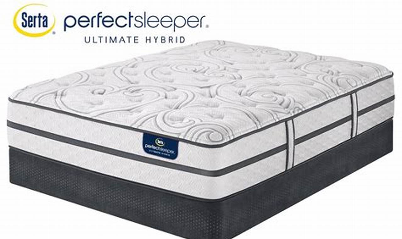 Best Queen Mattress: Serta Perfect Sleeper Comfort Guide Organic & Natural Mattress Buyer’s Guide: Non-Toxic Sleep Solutions Best Queen Mattress: Serta Perfect Sleeper Comfort Guide | Organic & Natural Mattress Buyer’s Guide: Non-Toxic Sleep Solutions