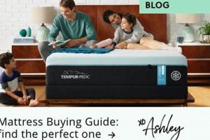 Best & Worst: Ashley Furniture Mattress Reviews [2024] | Organic & Natural Mattress Buyer’s Guide: Non-Toxic Sleep Solutions