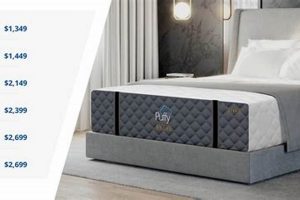 Best Legacy Furniture Mattress: Sleep Soundly Tonight! Organic & Natural Mattress Buyer’s Guide: Non-Toxic Sleep Solutions Best Legacy Furniture Mattress: Sleep Soundly Tonight! | Organic & Natural Mattress Buyer’s Guide: Non-Toxic Sleep Solutions