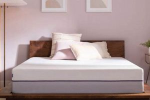 Find Your Dream Hom Furniture Mattress Today! Organic & Natural Mattress Buyer’s Guide: Non-Toxic Sleep Solutions Find Your Dream Hom Furniture Mattress Today! | Organic & Natural Mattress Buyer’s Guide: Non-Toxic Sleep Solutions