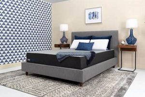 Shop Northern Mattress & Furniture: Your Home, Our Craft Organic & Natural Mattress Buyer’s Guide: Non-Toxic Sleep Solutions Shop Northern Mattress & Furniture: Your Home, Our Craft | Organic & Natural Mattress Buyer’s Guide: Non-Toxic Sleep Solutions