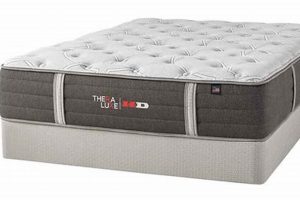 Cascade Furniture and Mattress: Your Comfort Destination Organic & Natural Mattress Buyer’s Guide: Non-Toxic Sleep Solutions Cascade Furniture and Mattress: Your Comfort Destination | Organic & Natural Mattress Buyer’s Guide: Non-Toxic Sleep Solutions
