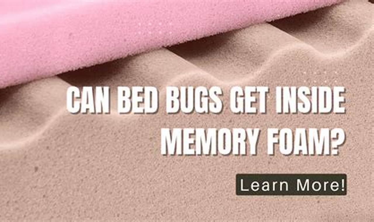 Stop Bed Bugs: Foam Mattress Protection & More Organic & Natural Mattress Buyer’s Guide: Non-Toxic Sleep Solutions Stop Bed Bugs: Foam Mattress Protection & More | Organic & Natural Mattress Buyer’s Guide: Non-Toxic Sleep Solutions