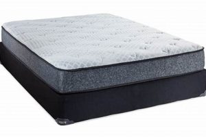 Bob's Discount Furniture Mattress Warranty: Your Protection Plan Organic & Natural Mattress Buyer’s Guide: Non-Toxic Sleep Solutions Bob's Discount Furniture Mattress Warranty: Your Protection Plan | Organic & Natural Mattress Buyer’s Guide: Non-Toxic Sleep Solutions