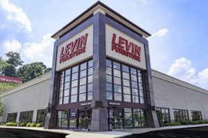 Levin Furniture Pointe: Shop Mattresses & More! Organic & Natural Mattress Buyer’s Guide: Non-Toxic Sleep Solutions Levin Furniture Pointe: Shop Mattresses & More! | Organic & Natural Mattress Buyer’s Guide: Non-Toxic Sleep Solutions