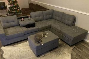 Shop Bella Furniture & Mattress: Home & Sleep Organic & Natural Mattress Buyer’s Guide: Non-Toxic Sleep Solutions Shop Bella Furniture & Mattress: Home & Sleep | Organic & Natural Mattress Buyer’s Guide: Non-Toxic Sleep Solutions