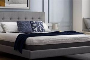 Shop Mattress Max Furniture: Your Dream Bedroom Awaits! Organic & Natural Mattress Buyer’s Guide: Non-Toxic Sleep Solutions Shop Mattress Max Furniture: Your Dream Bedroom Awaits! | Organic & Natural Mattress Buyer’s Guide: Non-Toxic Sleep Solutions