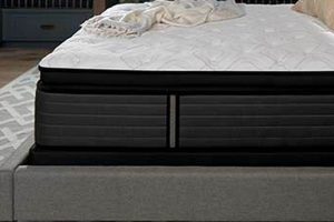 Elevate Your Home: Grand Furniture & Mattress Comfort Organic & Natural Mattress Buyer’s Guide: Non-Toxic Sleep Solutions Elevate Your Home: Grand Furniture & Mattress Comfort | Organic & Natural Mattress Buyer’s Guide: Non-Toxic Sleep Solutions