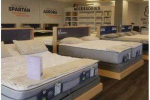 Shop Local: Express Furniture & Mattress Outlet Deals Now! Organic & Natural Mattress Buyer’s Guide: Non-Toxic Sleep Solutions Shop Local: Express Furniture & Mattress Outlet Deals Now! | Organic & Natural Mattress Buyer’s Guide: Non-Toxic Sleep Solutions
