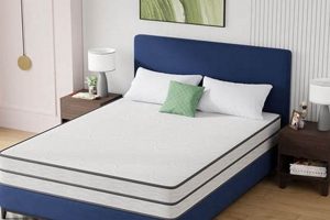 Your Dream Home: Mattress & Furniture Super Center Deals Organic & Natural Mattress Buyer’s Guide: Non-Toxic Sleep Solutions Your Dream Home: Mattress & Furniture Super Center Deals | Organic & Natural Mattress Buyer’s Guide: Non-Toxic Sleep Solutions