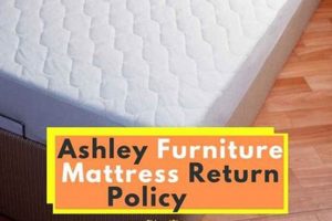 Ashley Furniture Mattress Returns: Store Policy Guide Organic & Natural Mattress Buyer’s Guide: Non-Toxic Sleep Solutions Ashley Furniture Mattress Returns: Store Policy Guide | Organic & Natural Mattress Buyer’s Guide: Non-Toxic Sleep Solutions