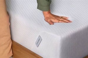 Best High Density Foam Mattress [Guide] Today! | Organic & Natural Mattress Buyer’s Guide: Non-Toxic Sleep Solutions