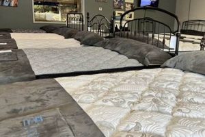 Jordan's Furniture Mattress: Comfort & Selection Guide | Organic & Natural Mattress Buyer’s Guide: Non-Toxic Sleep Solutions