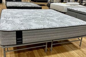 Find Discount Furniture: Mattress Liquidators in Lauderhill | Organic & Natural Mattress Buyer’s Guide: Non-Toxic Sleep Solutions