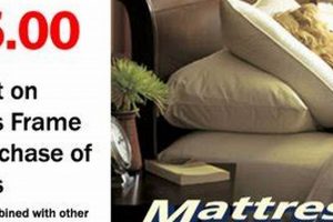 Find Your Dream Home: The Rug, Mattress & Furniture Store Near You Organic & Natural Mattress Buyer’s Guide: Non-Toxic Sleep Solutions Find Your Dream Home: The Rug, Mattress & Furniture Store Near You | Organic & Natural Mattress Buyer’s Guide: Non-Toxic Sleep Solutions