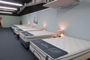 Find Your Dream Mattress Furniture Set + Guide Organic & Natural Mattress Buyer’s Guide: Non-Toxic Sleep Solutions Find Your Dream Mattress Furniture Set + Guide | Organic & Natural Mattress Buyer’s Guide: Non-Toxic Sleep Solutions