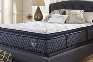 Ashleys Furniture Mattress | Organic & Natural Mattress Buyer’s Guide: Non-Toxic Sleep Solutions