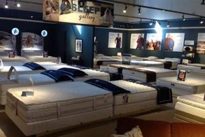 Your Dream Furniture & Mattress Gallery: Find Comfort Now! Organic & Natural Mattress Buyer’s Guide: Non-Toxic Sleep Solutions Your Dream Furniture & Mattress Gallery: Find Comfort Now! | Organic & Natural Mattress Buyer’s Guide: Non-Toxic Sleep Solutions